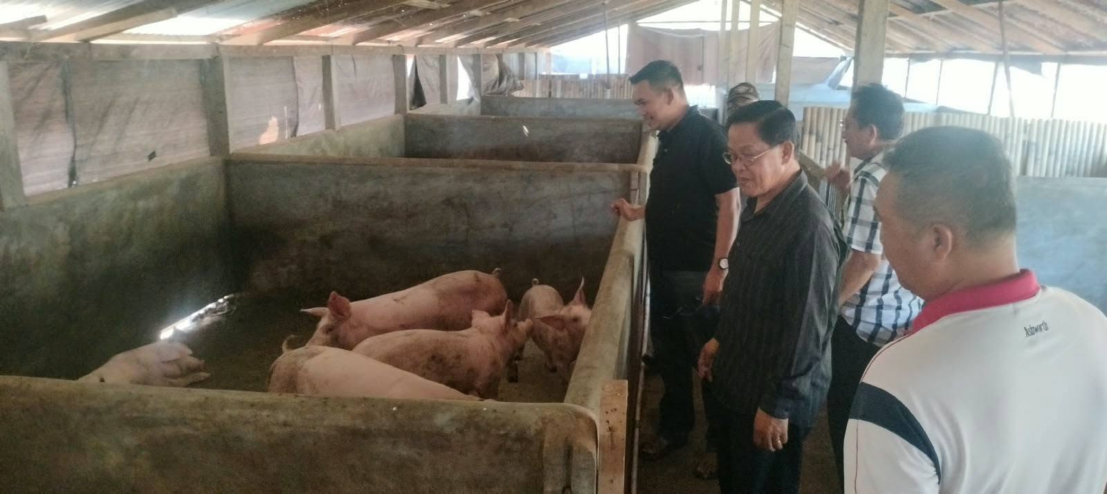 GPIG Dorong Pengembangan Ekonomi Jemaat melalui Usaha Pakan Ternak